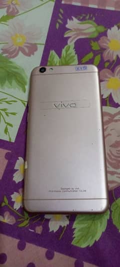 vivo