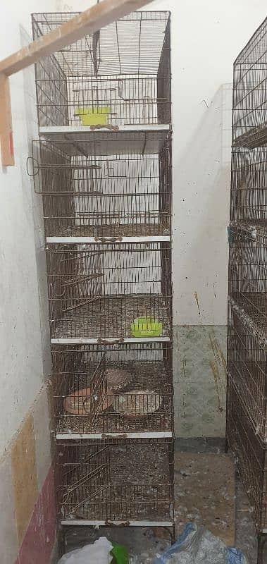 breeding cage 1