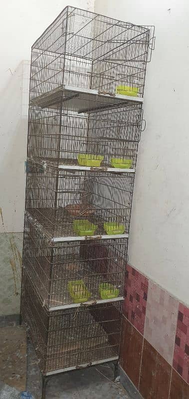 breeding cage 2