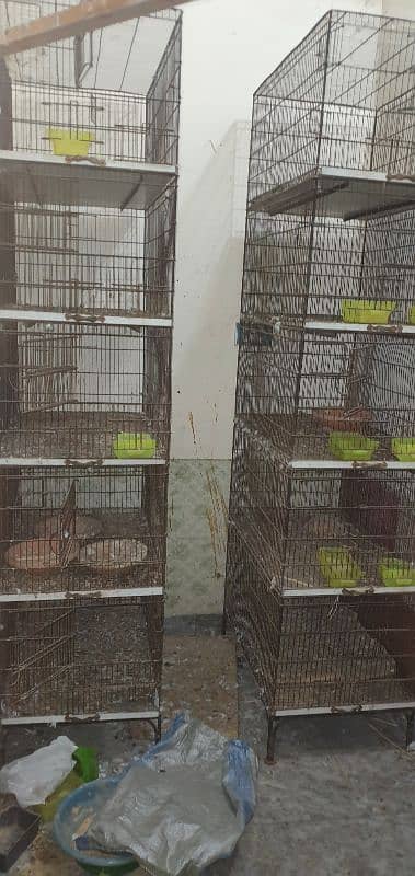 breeding cage 4