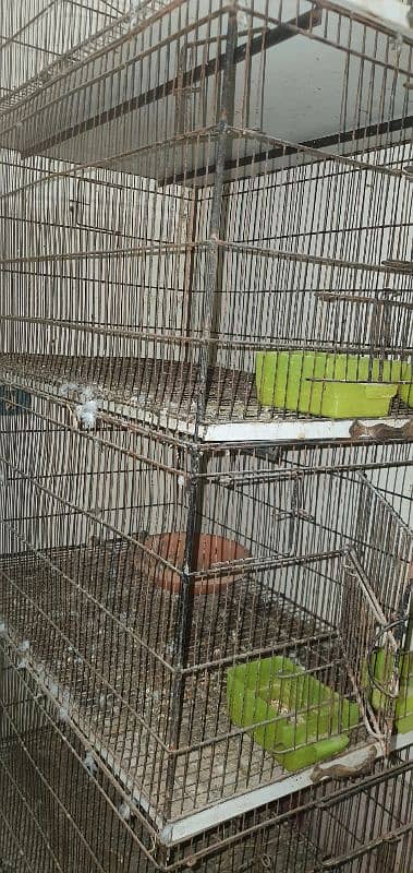 breeding cage 5