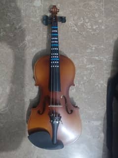 violin