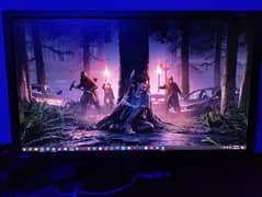 BenQ ZOWIE XL2411P 24 Inch 144Hz Gaming Monitor