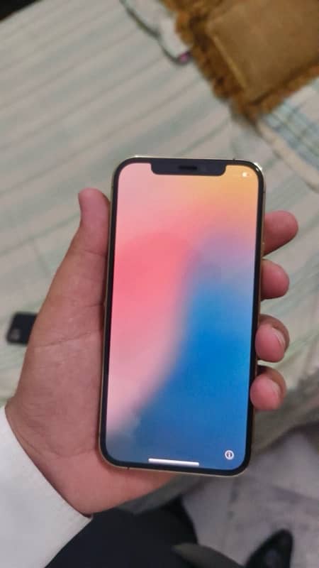12 Pro 256 Gb FU PTA Approved 1