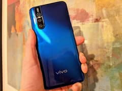 vivo