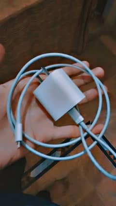 iPhone charger