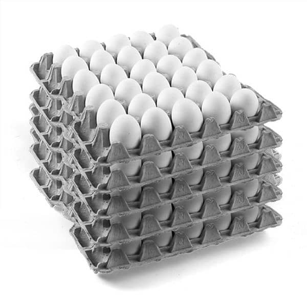 30 Dozen egg for hen 0