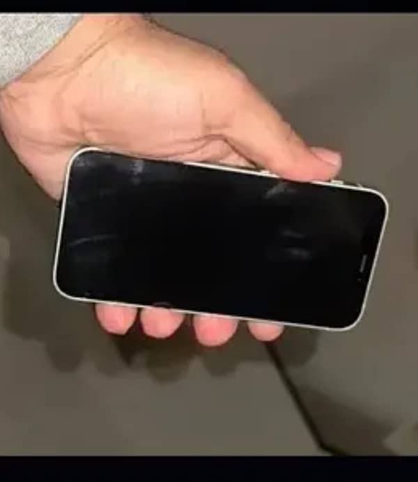 iPhone 12 mini 1