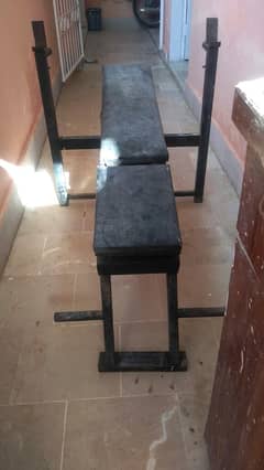 Exercise Bench