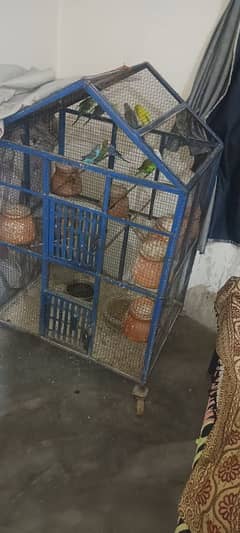 full calony with cage Big cage full lohay ka