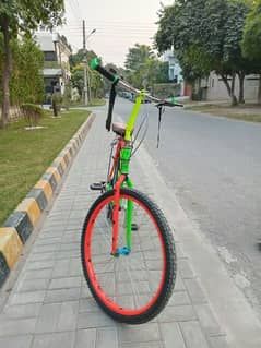 phoneix bicycle