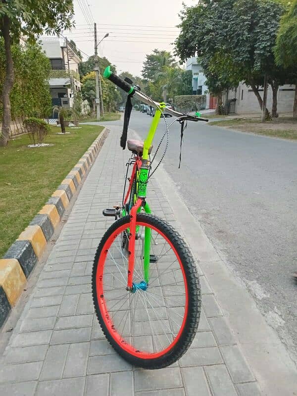 phoneix bicycle 0