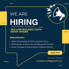 SEO Link Builder / Data Entry Intern (Paid Internship) – Females Only