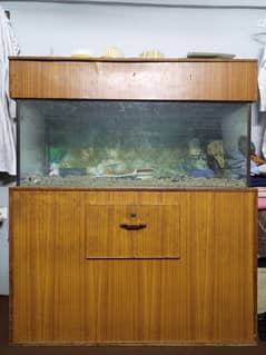 aquarium urgent sale