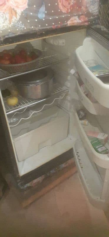 refrigerator 1