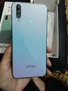 Vivo