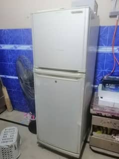 Orient fridge