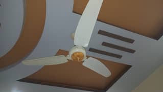 Ceiling Fans