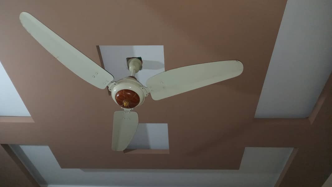 Ceiling Fans 4