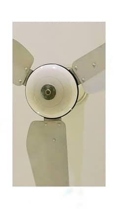 GFC Ceiling Fan