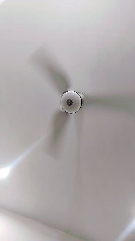 GFC Ceiling Fan 1