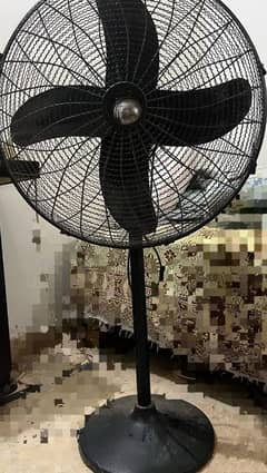 Fan