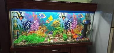 new fish 2  aquariums hy 03026612961