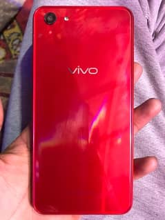 vivo