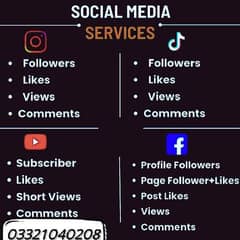 Instagram TikTok Twitter YouTube Facebook Followers Subscribers Likes