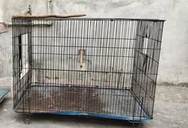 4 Cages Available For Sale