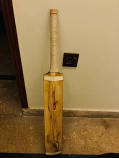 Hard Boll Bat