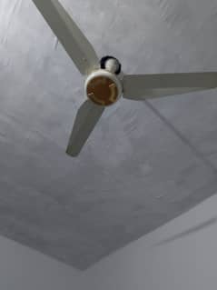 roof fan