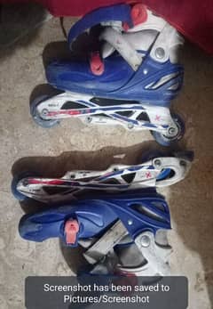 Skating shoes, 03*00*46*29*6*91