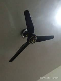 Ac DC  AJWA fan