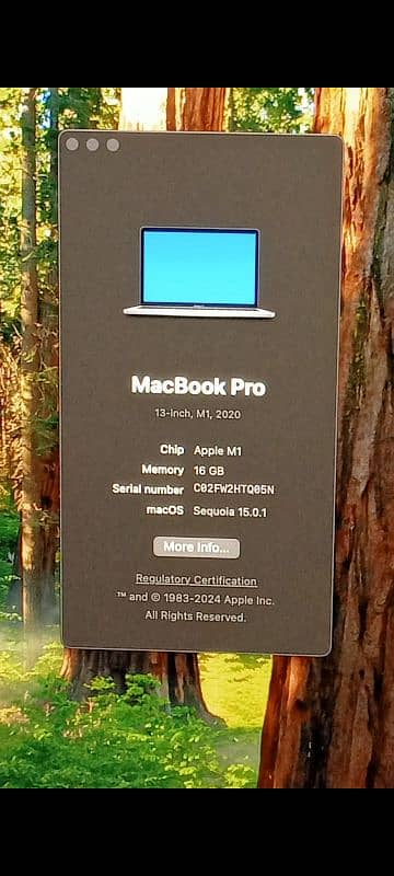 MacBook Pro M1 2020 16GB 256GB & 16GB 512GB 13" CTO Model 1