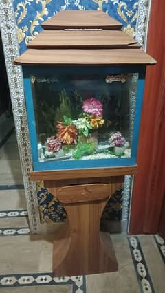 Fish Box For living Fisher with electric air Moter .