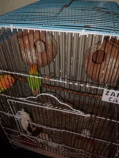 parrot 2 pair with cage