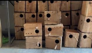 40 Breeding Boxes big love bird size with ventilation one season used