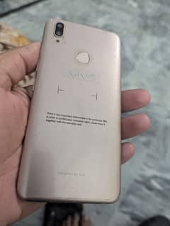 vivo