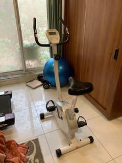 Longstyle Upright Exercise Bike