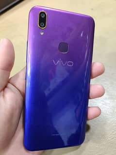 vivo