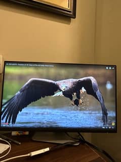 LED SCREEN DELL P2422H (24’)