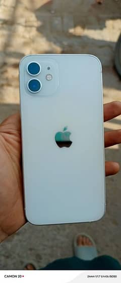 iPhone 12: Dual SIM, PTA Approved, 85% Battery Bliss, 64 GB
                                title=