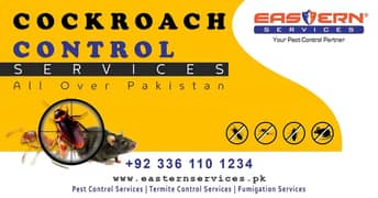 Deemak Control, Termite Control, Dengue Control, Bedbugs & Cockroaces