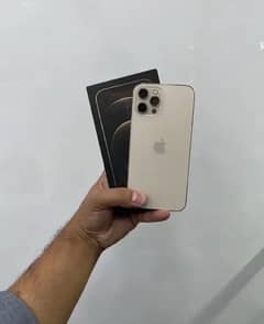 i phone 12 pro max pta approved 256 gb