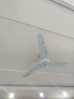 ceiling fan