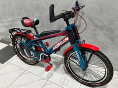 KIDS CYCLE FOR SALE OLX KARACHI