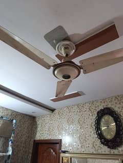 Younas Fan 9/10 Condition 48 Inch