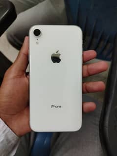 iPhone XR