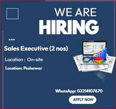 Sales Executive